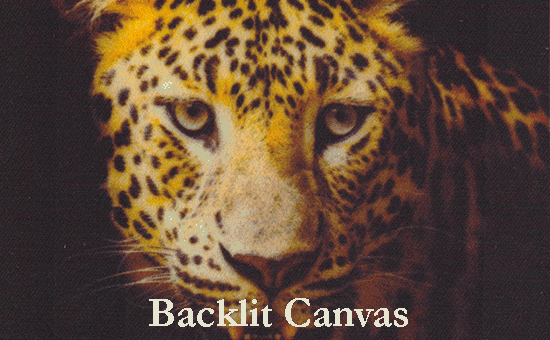 Backlit Canvas