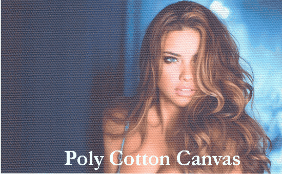Poly Cotton Canvas